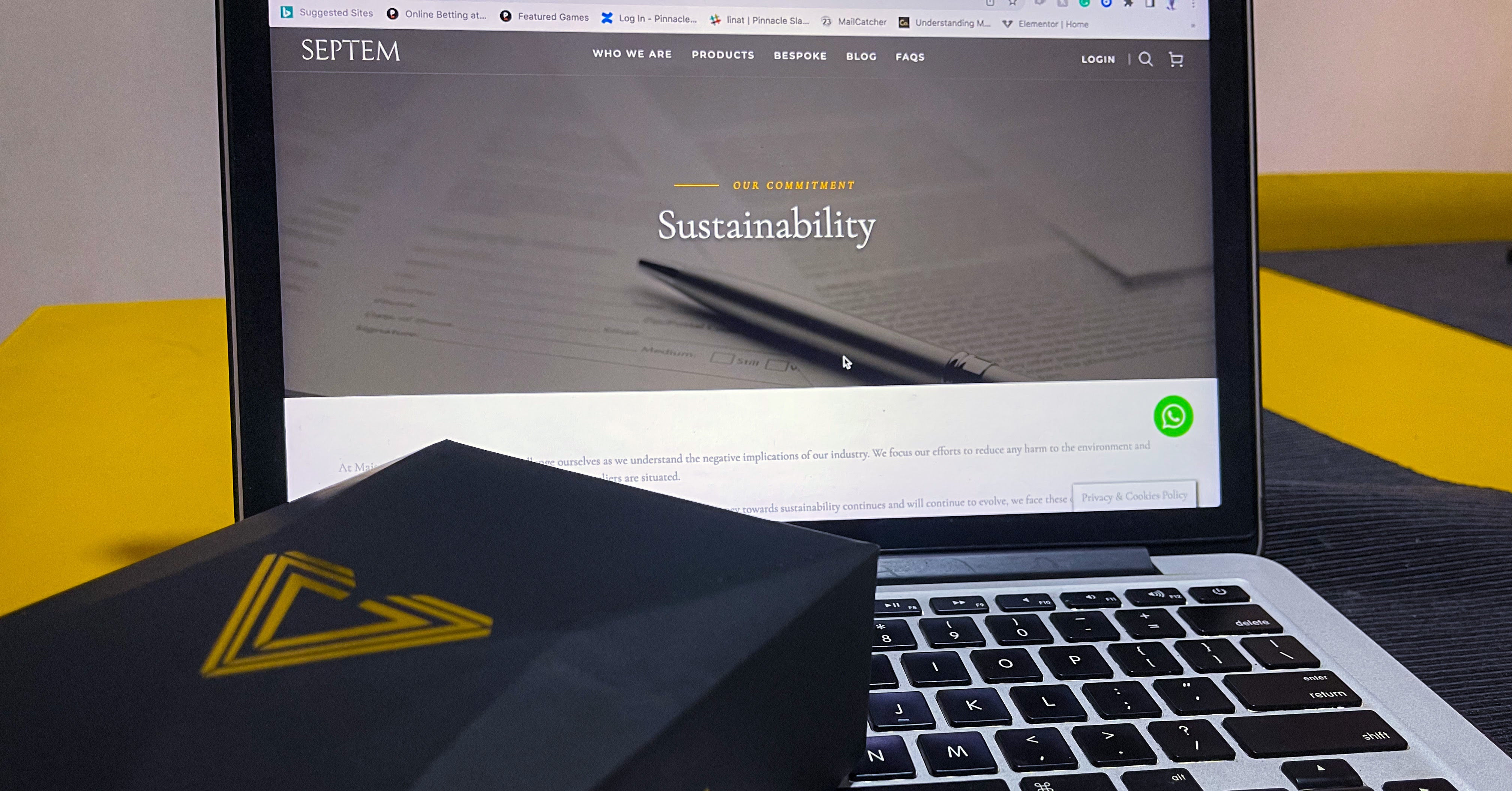 Sustainability in Luxury: Where are we going?