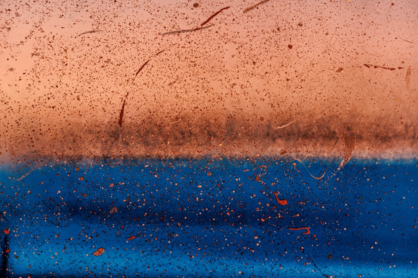 What is Avant-Garde, and What Does it Mean for the World of Luxury  - Maison Septem